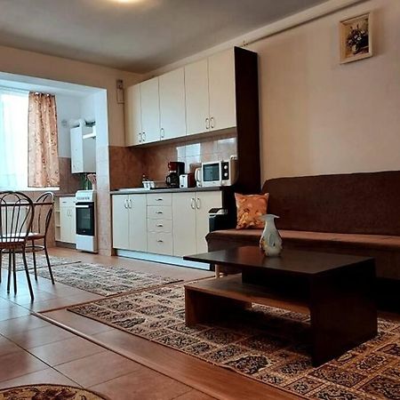 Spacious Flat, With Free Parking & Air Conditioning Floreşti エクステリア 写真