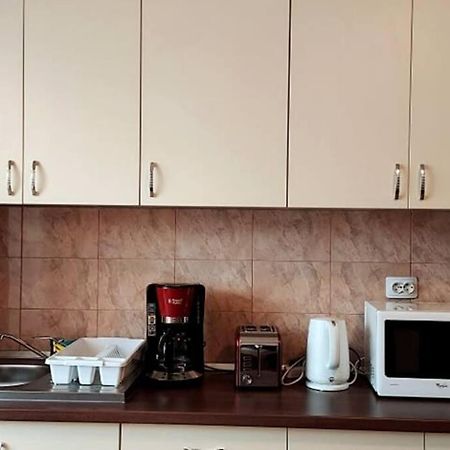 Spacious Flat, With Free Parking & Air Conditioning Floreşti エクステリア 写真
