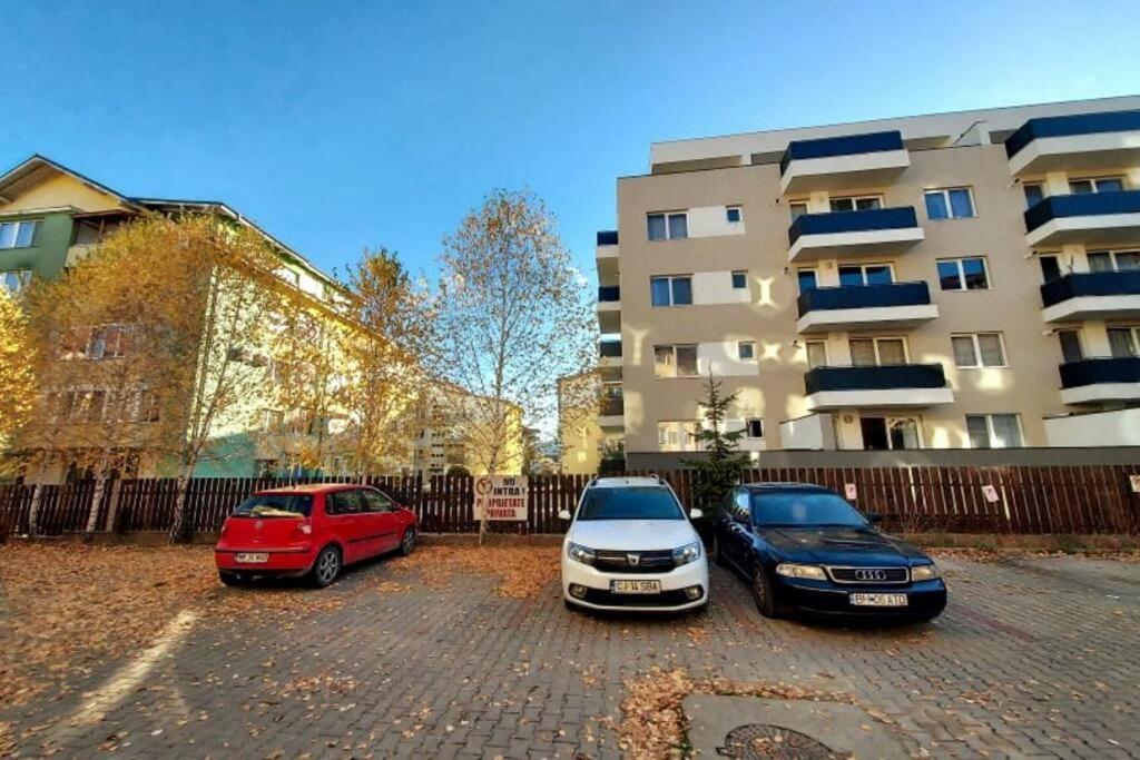 Spacious Flat, With Free Parking & Air Conditioning Floreşti エクステリア 写真
