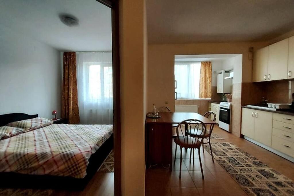 Spacious Flat, With Free Parking & Air Conditioning Floreşti エクステリア 写真