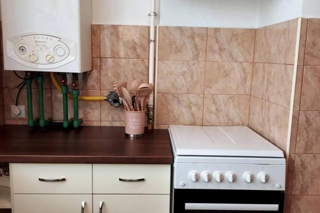 Spacious Flat, With Free Parking & Air Conditioning Floreşti エクステリア 写真