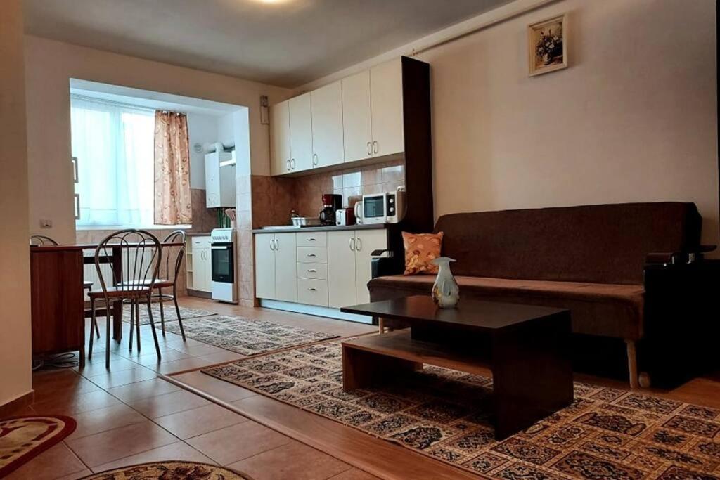 Spacious Flat, With Free Parking & Air Conditioning Floreşti エクステリア 写真
