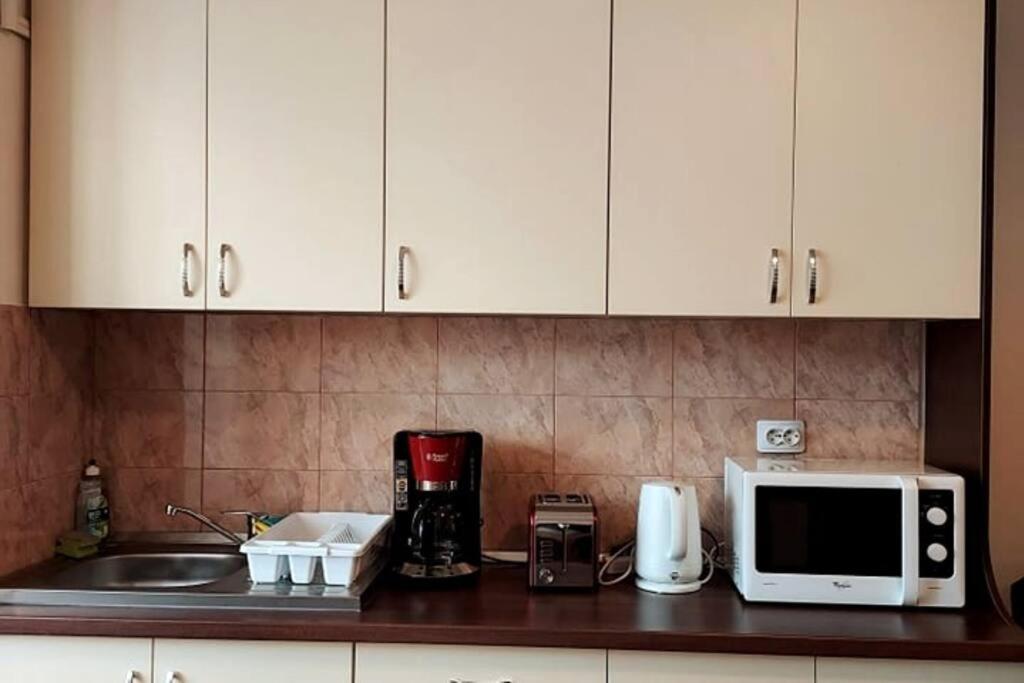 Spacious Flat, With Free Parking & Air Conditioning Floreşti エクステリア 写真